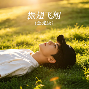 振翅飞翔（逐光版）