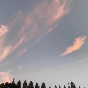 爱好（cover薛之谦）