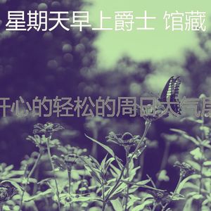 优美周日睡觉器乐