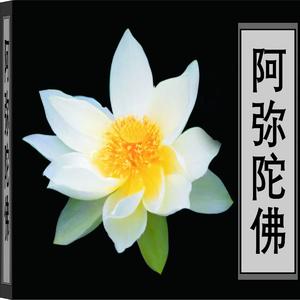 阿弥陀佛