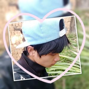 猫小姐(Prod.SSR Studio)