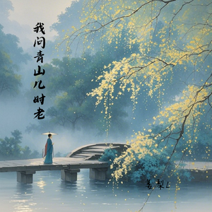 我问青山几时老