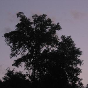 i hate brand loyalty i hate social media i miss you