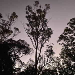 Quitter (10 Minute Version)