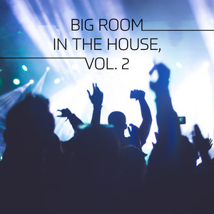 Next Level (Bigroom Extended Mix)