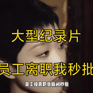 大型纪录片《员工离职我秒批》