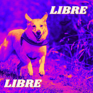Libre