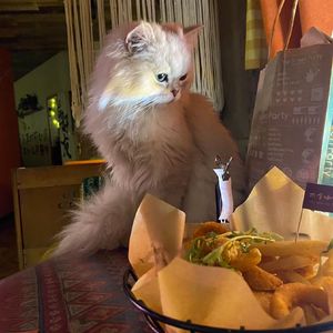 B.D. - Princess（Prod.EASONZHU）