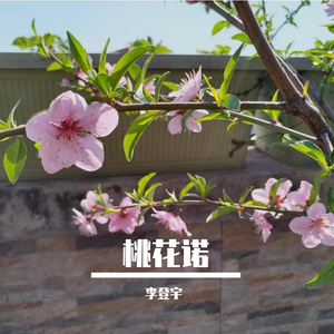 桃花诺