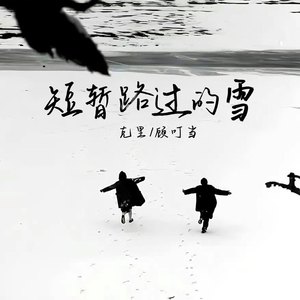 短暂路过的雪