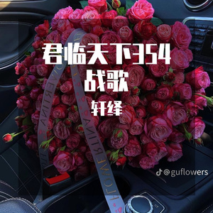 354君临天下西部战队战歌