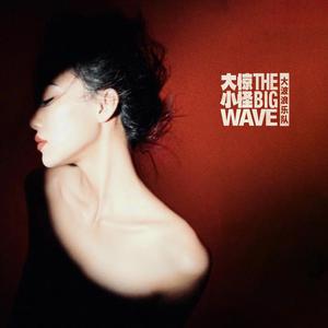 大惊小怪（Animal Pop Remix）