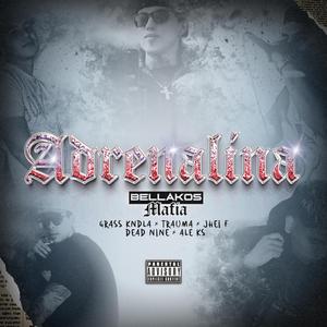 ADRENALINA (feat. GRASS KNDLA, TRAUMA & ALE KS)