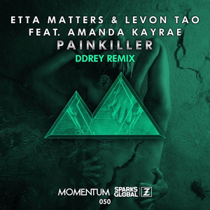 Painkiller (DDRey Remix)