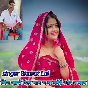 जिन म्हारो दिल चाव च वा कोई और न चाव