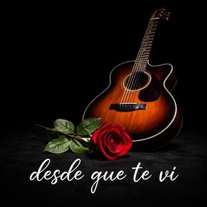 Desde que te vi