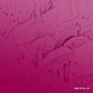 The Almighty Tiger Nut