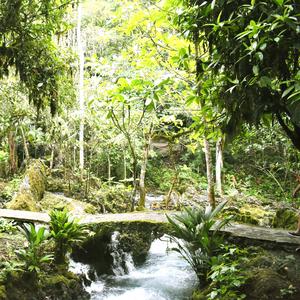 Ondas (EP SPLIT VISITORS TO NAZCA)