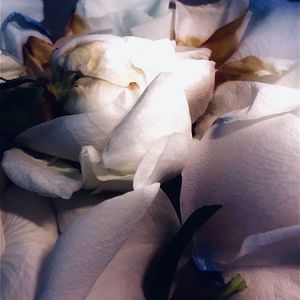 我还会出现吗(Prod.by Keerad)