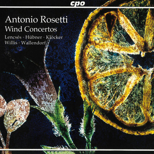 Concerto No. 4 for 2 Horns in E Major, C58: III. Rondo. Allegretto
