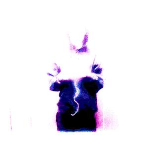 TRAUM