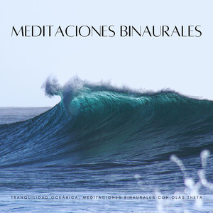 Grabaciones De Una Playa Binaural