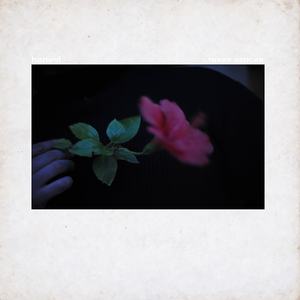 Коллекционер (Тихая версия)