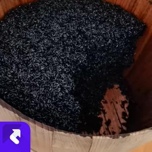 独旅者之歌 (现场)