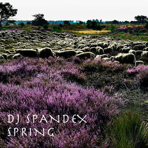 Spring (Radio Edit)