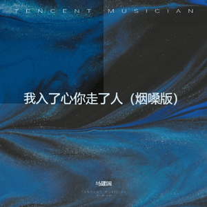 我入了心你走了人（烟嗓版）