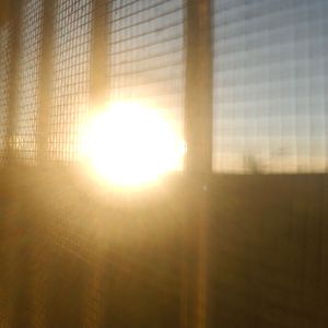 にゃんこ誤認（喵星人误认）