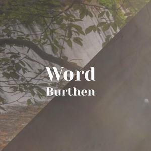 Instinctive Illuminate