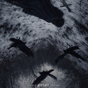 Черные вороны