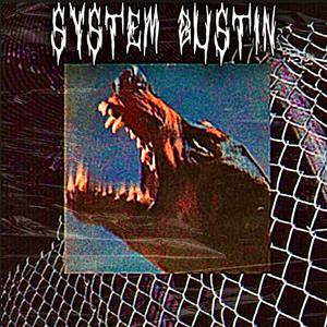 System Bustin