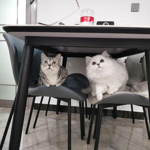 Boring Day(抖音版）天公不作美