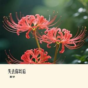 雨中世界 (星华 Remix)