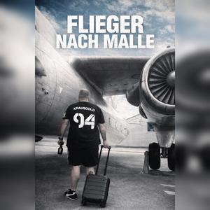 Flieger nach Malle