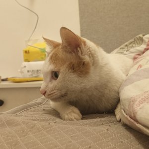 剪辑20260305_2144.WAV