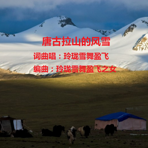 唐古拉山的风雪