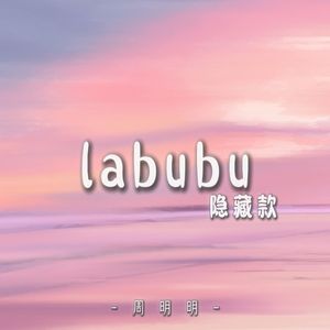 labubu隐藏款