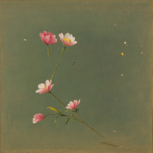 꽃잎 (A Petal`s Spring) (Instrumental)