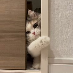 Long Live A$ (slowed)