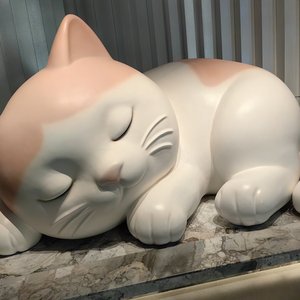 拥你滋味胜疲惫