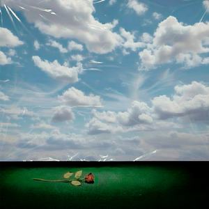 в снах моих