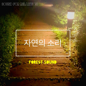 숲속 빗소리