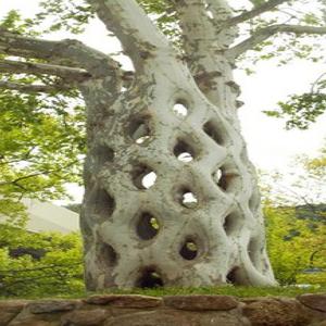 потому что но как