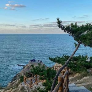 写给你的一封信