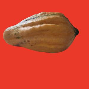 Självcentrerad Rädsla