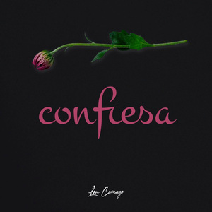 Confiesa