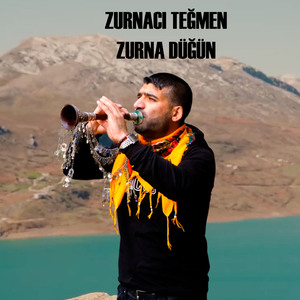 Buhar Xewş